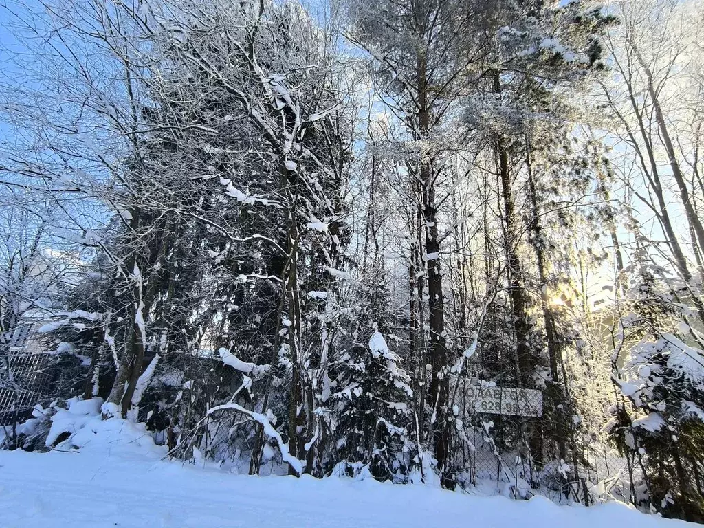Участок в Ленинградская область, Кировский район, Мгинское городское ... - Фото 2