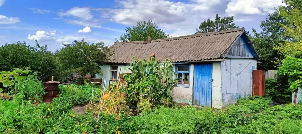 Дом в Белгородская область, Вейделевка рп пер. Победы (47 м) - Фото 1