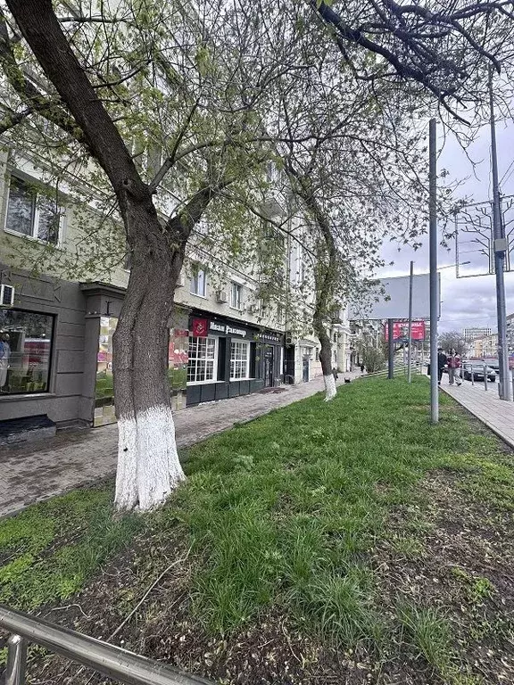 2-к кв. Самарская область, Самара Ново-Садовая ул., 4 (62.0 м) - Фото 1