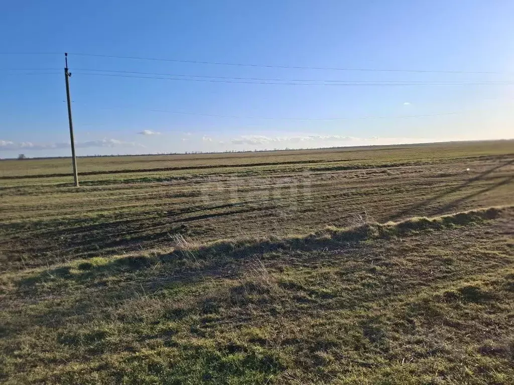 Участок в Крым, Ленинский район, с. Калиновка ул. Шевченко (6.35 сот.) - Фото 1