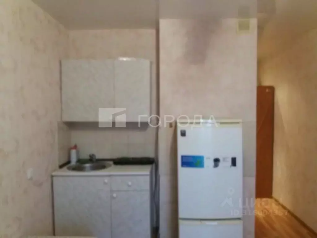 Студия Новосибирская область, Новосибирск ул. Виктора Уса, 7 (24.0 м) - Фото 0