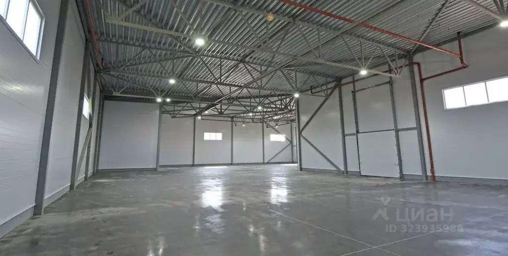 Офис в Ленинградская область, Ломоносовский район, Низинское с/пос, ... - Фото 1