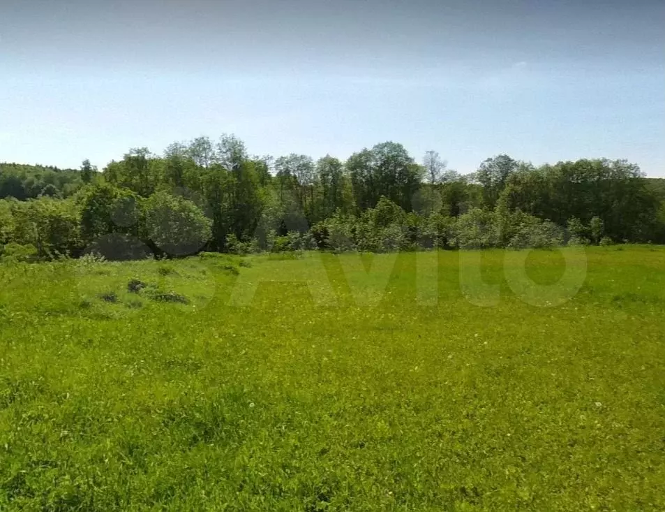 Участок 31,57 га (СНТ, ДНП) - Фото 0