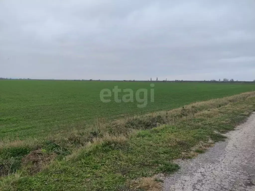 Участок в Крым, Советский район, Ильичевское с/пос, с. Восточное ул. ... - Фото 1