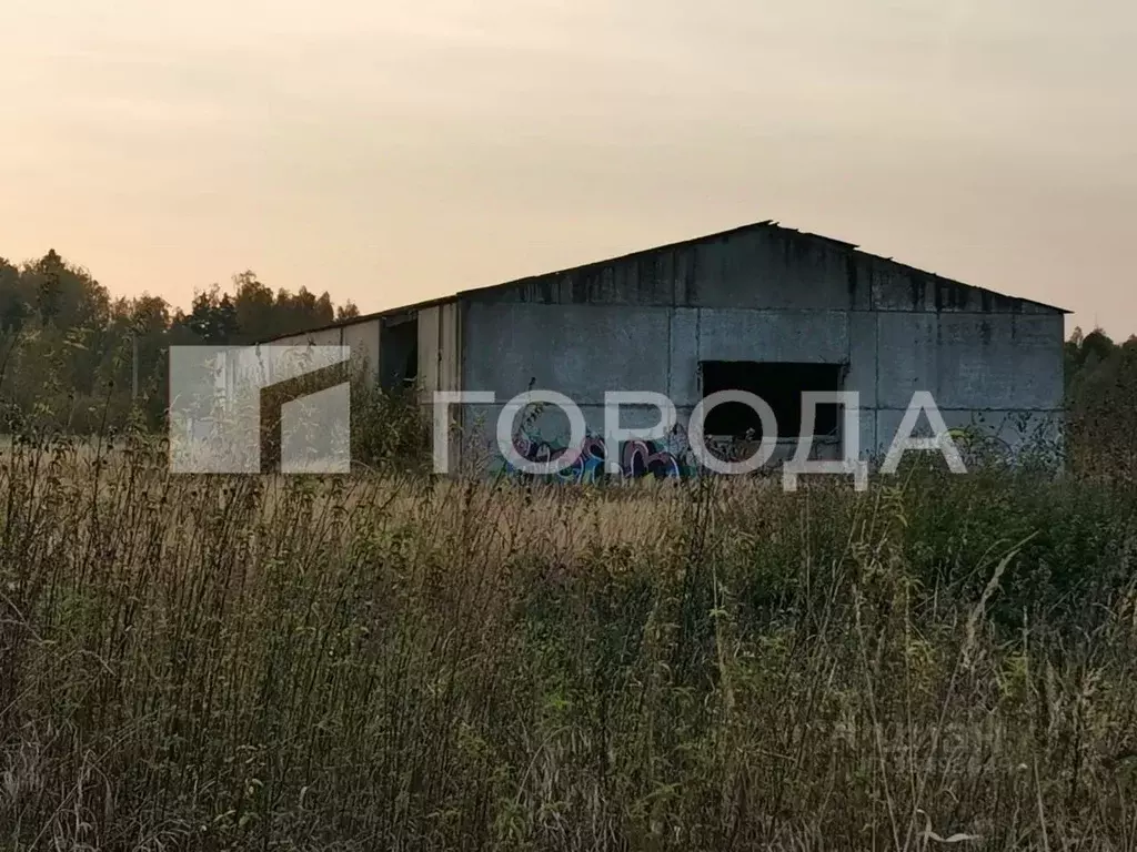 Участок в Московская область, Орехово-Зуевский городской округ, д. ... - Фото 1