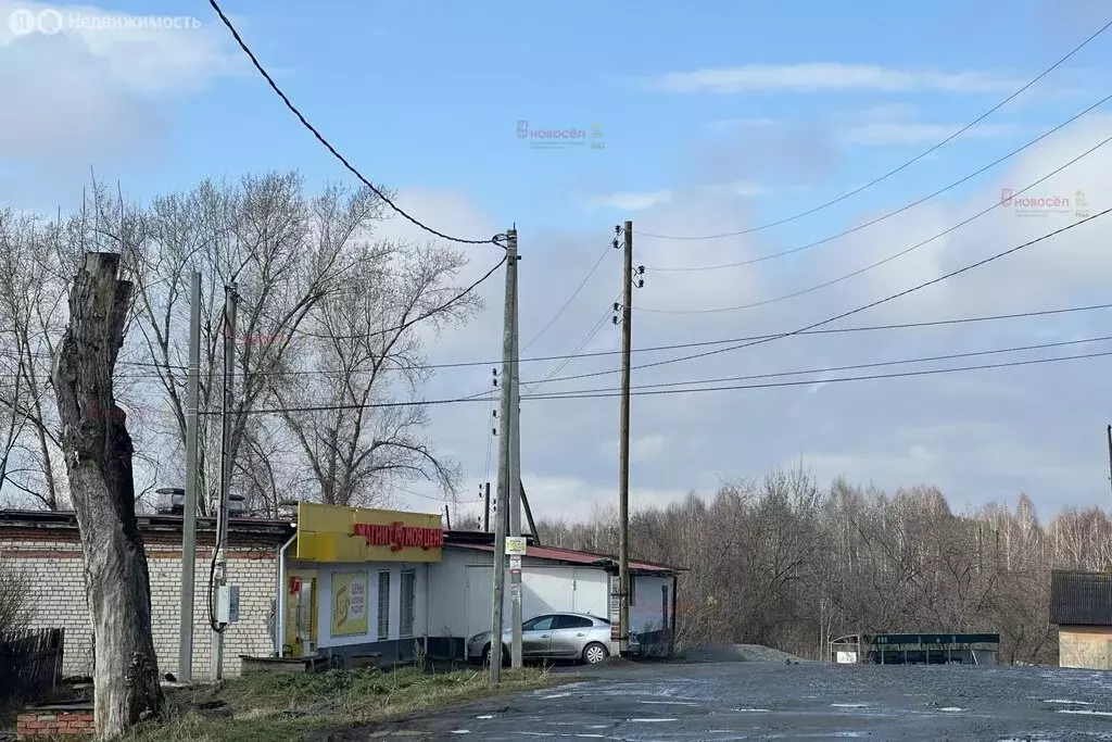 Дом в Свердловская область, Невьянский муниципальный округ, посёлок ... - Фото 2