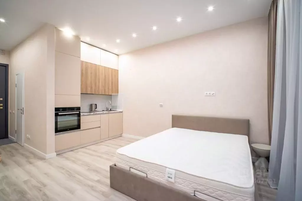 Студия Новосибирская область, Новосибирск Красный просп., 220 (31.0 м) - Фото 2