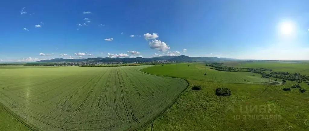 Участок в Алтайский край, Белокуриха Успенская ул., 28 (600.0 сот.) - Фото 2