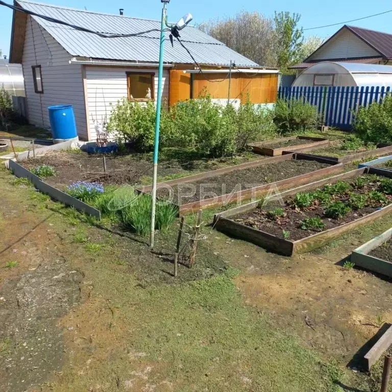 Дом в Тюменская область, Тюмень Плодовое СНТ, ул. Березовая (50 м) - Фото 2