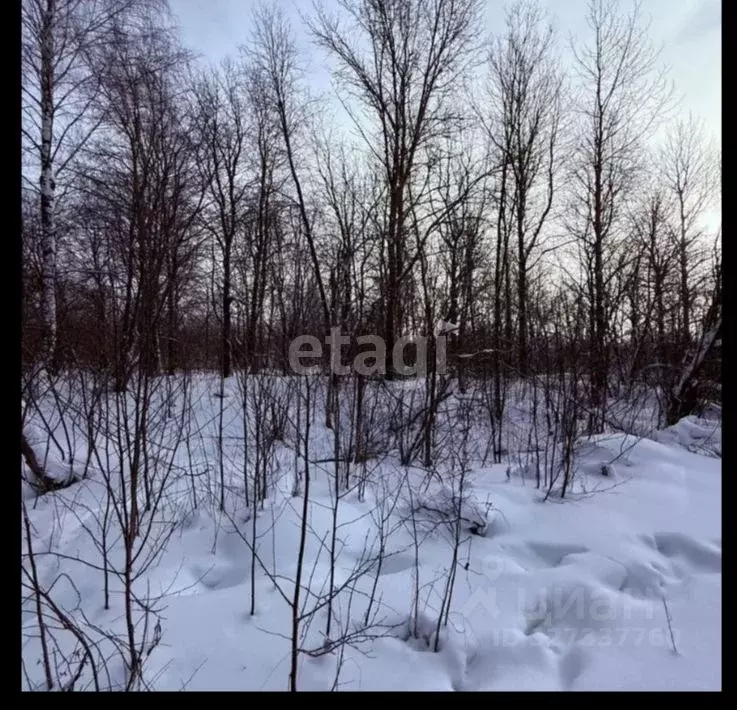 Участок в Вологодская область, Череповецкий район, д. Новое Домозерово ... - Фото 2