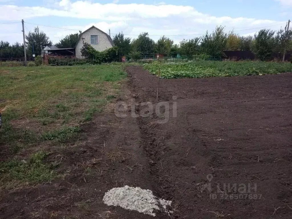 Участок в Курская область, Курск Цветово СТ, 4 (10.0 сот.) - Фото 2