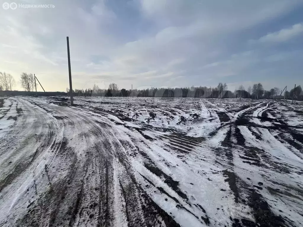Участок в Свердловская область, Тугулымский муниципальный округ, ... - Фото 2