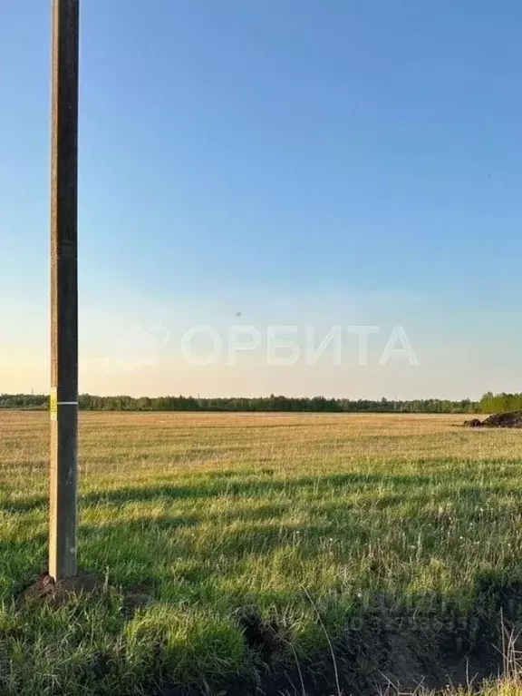 Участок в Тюменская область, Тюменский муниципальный округ, д. Елань, ... - Фото 2