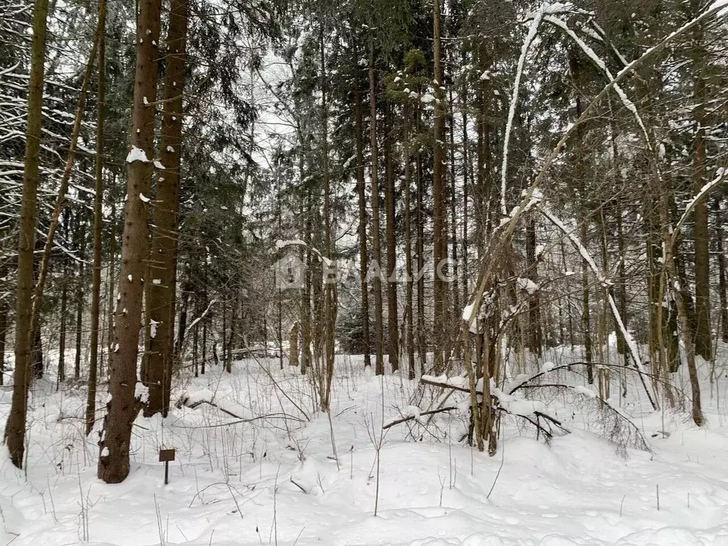 Участок в Московская область, Дмитровский городской округ, д. Сазонки, ... - Фото 0