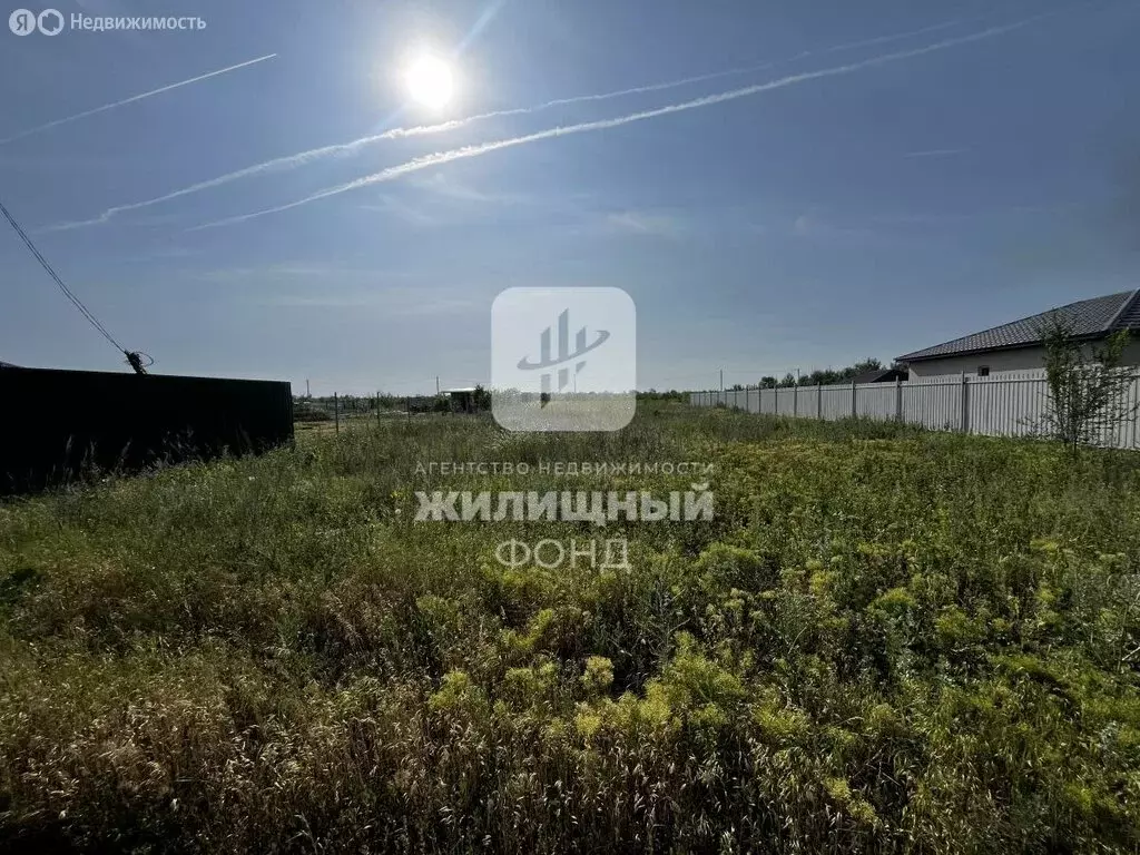 Участок в посёлок Новопушкинское, Виноградная улица (10000 м) - Фото 0