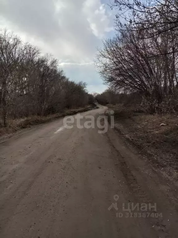 Участок в Курганская область, Щучанский муниципальный округ, д. ... - Фото 1