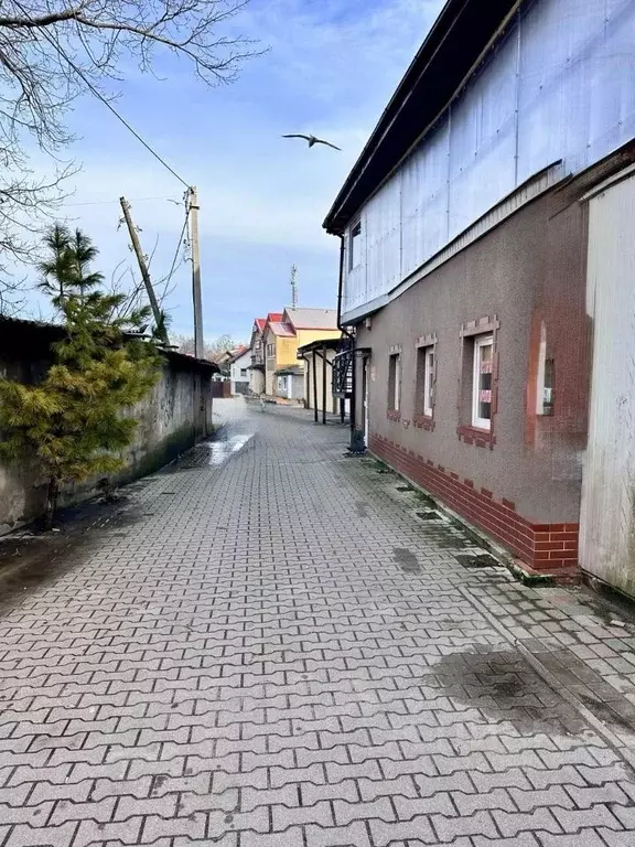 Торговая площадь в Калининградская область, Светлый ул. Лизы Чайкиной, ... - Фото 1