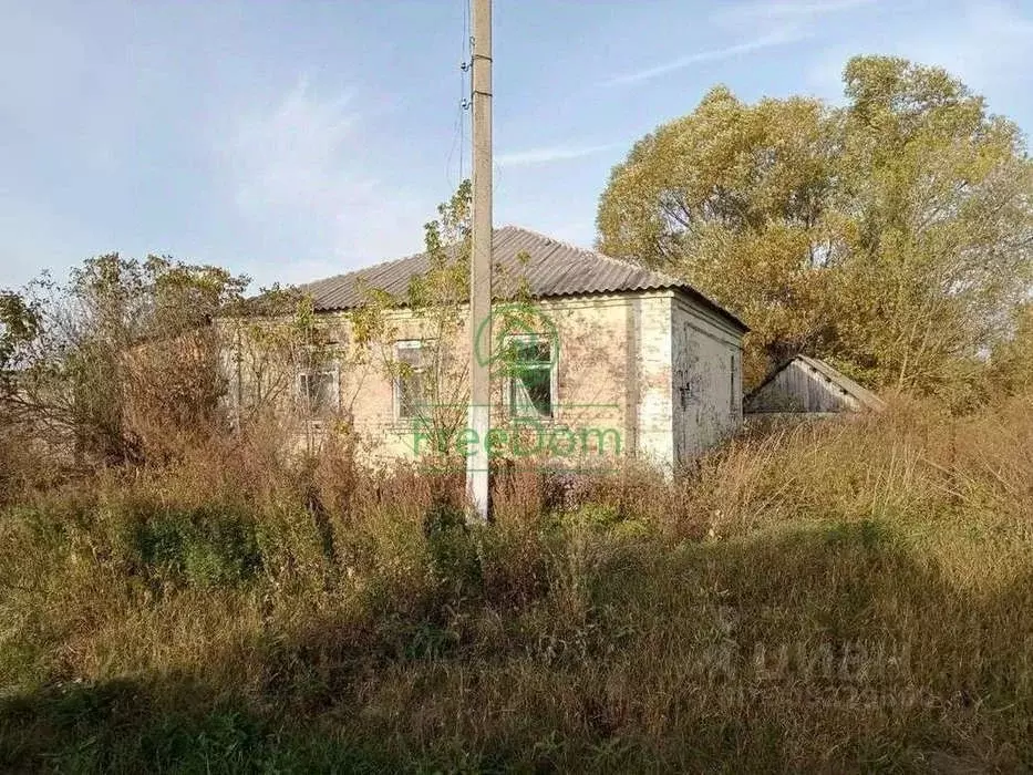 Дом в Белгородская область, Алексеевский муниципальный округ, с. ... - Фото 0