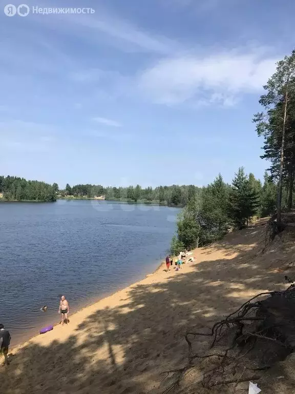 Участок в Сосновый Бор, коттеджный посёлок Балтийское, 2-я улица (10 ... - Фото 1