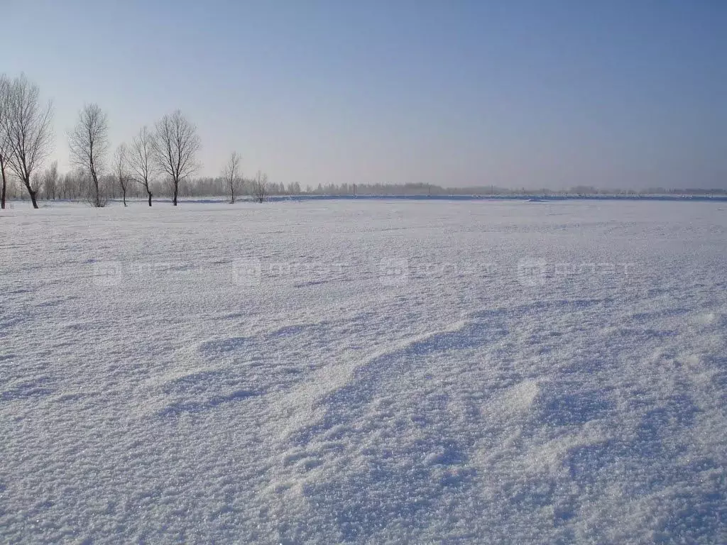 Участок в Татарстан, Пестречинский район, Богородское с/пос, с. ... - Фото 1