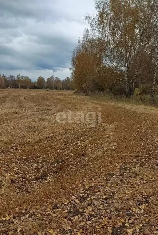 Участок в Алтай, Усть-Коксинский район, с. Усть-Кокса  (100.0 сот.) - Фото 0