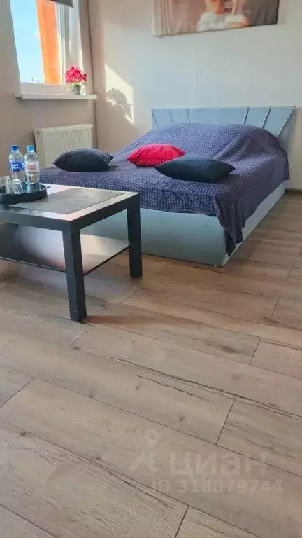 Студия Санкт-Петербург Парашютная ул., 36к1 (28.0 м) - Фото 2