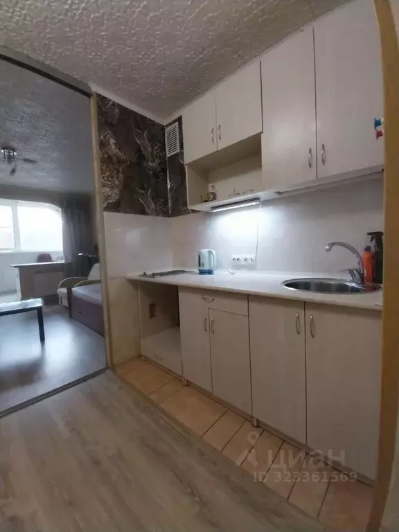 1-к кв. Санкт-Петербург ул. Орбели, 17 (24.6 м) - Фото 1