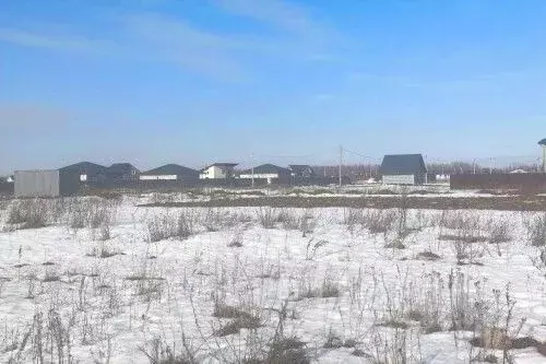 Участок в Новгородская область, Новгородский район, Савинское с/пос, ... - Фото 2