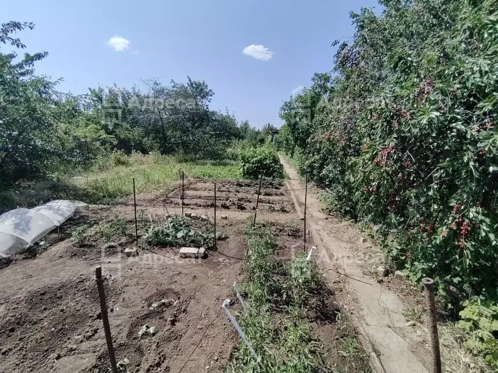Дом в Волгоградская область, Дубовский район, Пичужинское с/пос, Сталь ... - Фото 1