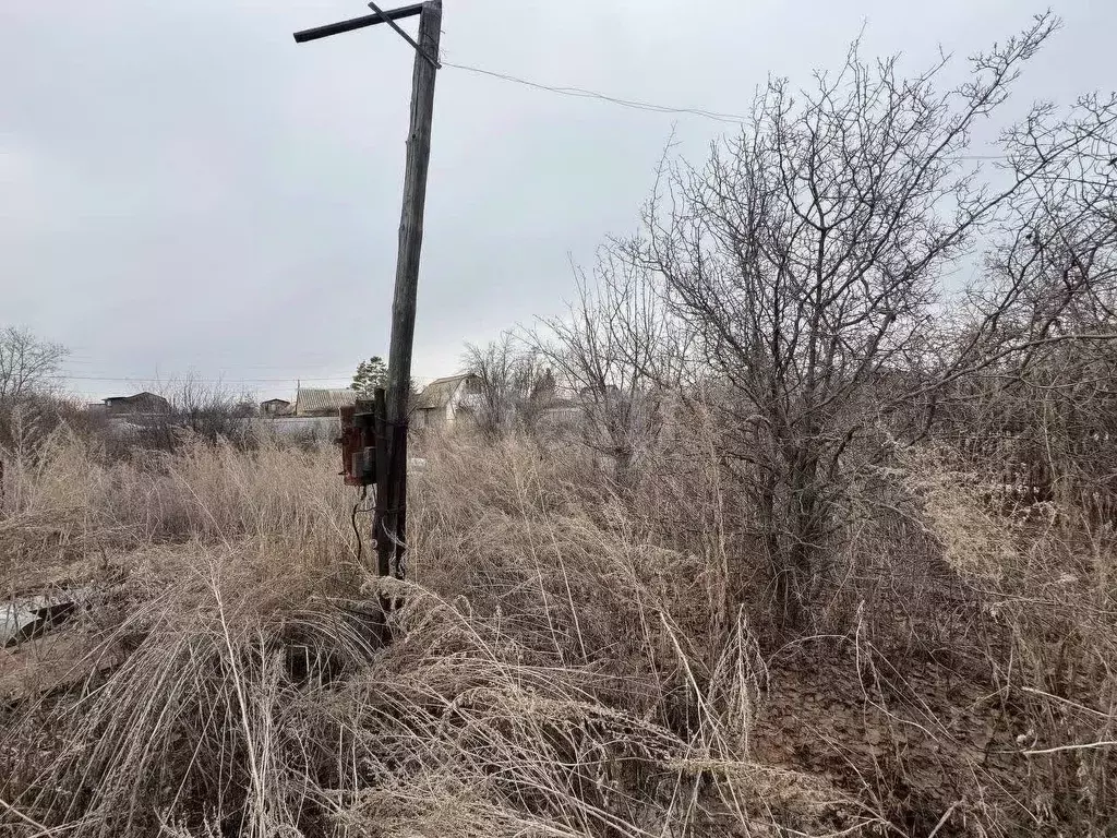 Участок в Оренбургская область, Оренбургский район, Нежинский ... - Фото 0