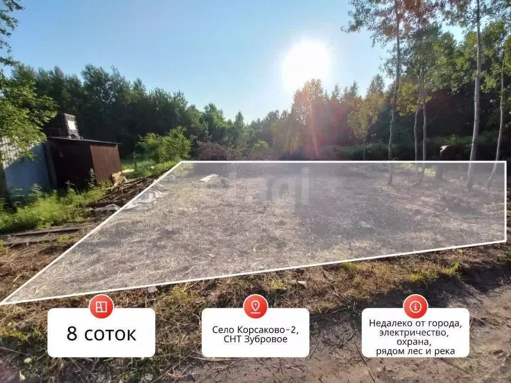 Участок в Хабаровский край, Хабаровский район, Зубровое СНТ 618 (8.0 ... - Фото 1