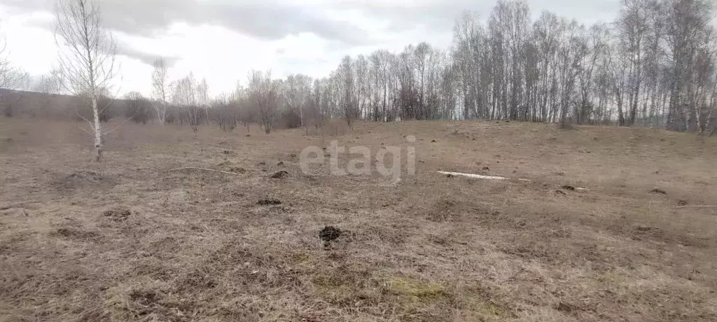 Участок в Алтай, Чемальский район, с. Турбаза Катунь  (20.0 сот.) - Фото 0