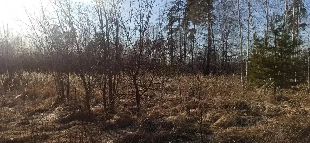 Участок в Московская область, Шатура  (14.73 сот.) - Фото 0