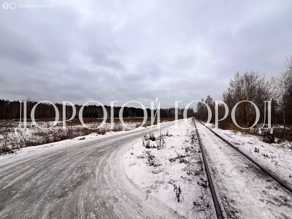 Участок в Ногинск, территория Промплощадка № 1, с29 (290 м) - Фото 0