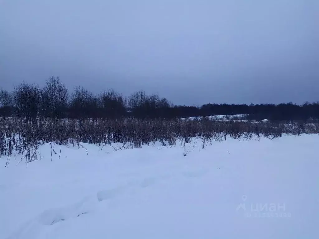 Участок в Вологодская область, Сокольский муниципальный округ, д. ... - Фото 0