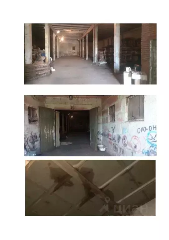 Помещение свободного назначения в Новосибирская область, Новосибирский ... - Фото 0