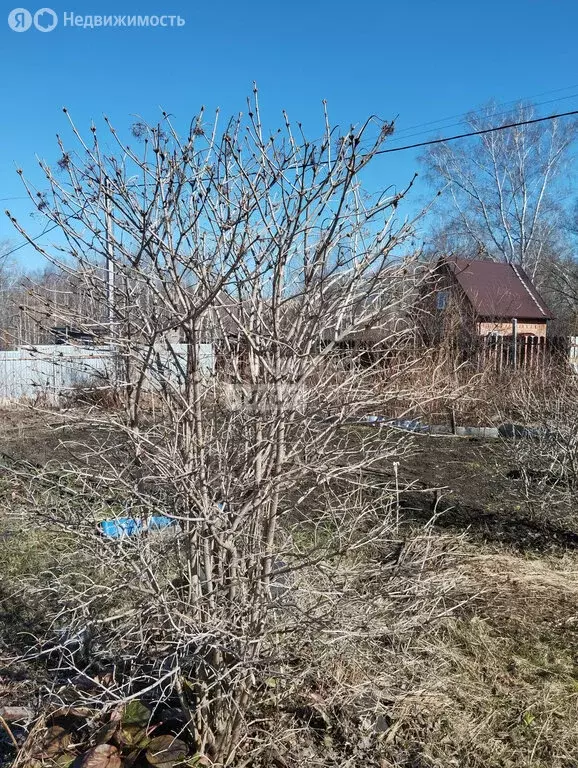 Участок в Бердск, СНТ Ива (6 м) - Фото 1
