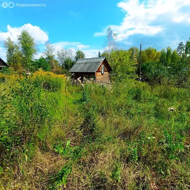 Участок в Барышевский сельсовет, садоводческое некоммерческое ... - Фото 2