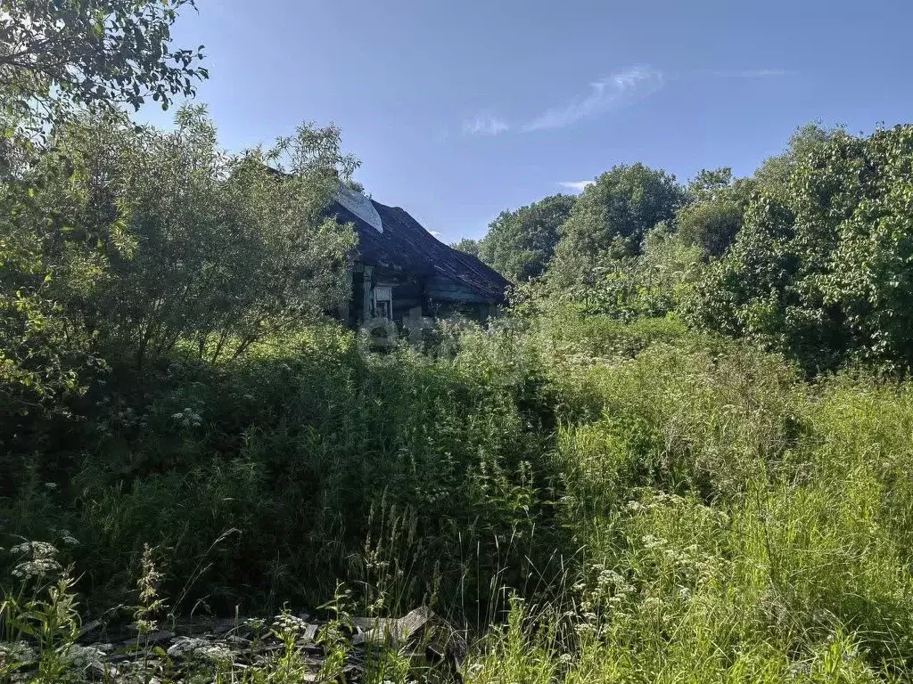 Участок в Ярославская область, Ростовский муниципальный округ, д. ... - Фото 1