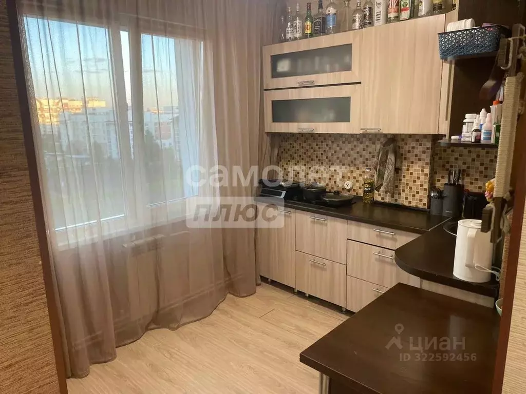 Студия Алтайский край, Барнаул Лазурная ул., 41 (27.5 м) - Фото 1