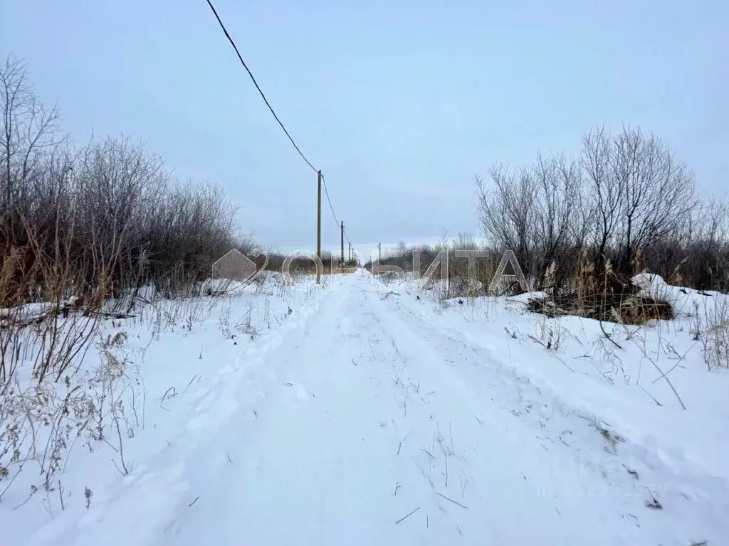 Участок в Тюменская область, Тюмень Большое Царево-1 ТСН,  (10.0 сот.) - Фото 1