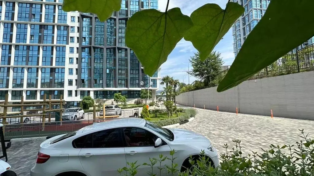 1-к кв. Краснодарский край, Сочи Бытха мкр, ул. Ясногорская (18.0 м) - Фото 2