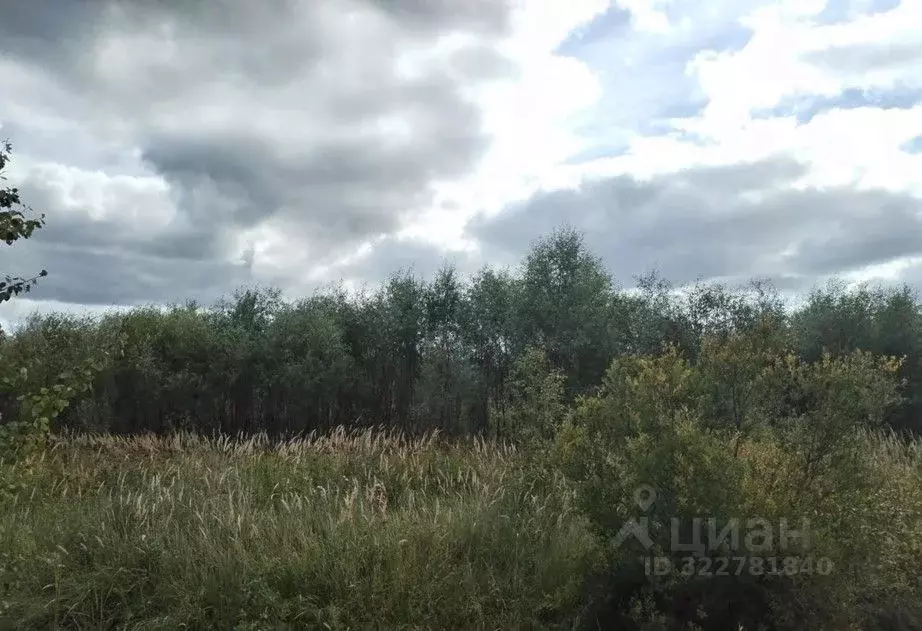 Участок в Московская область, Дмитровский муниципальный округ, д. ... - Фото 1