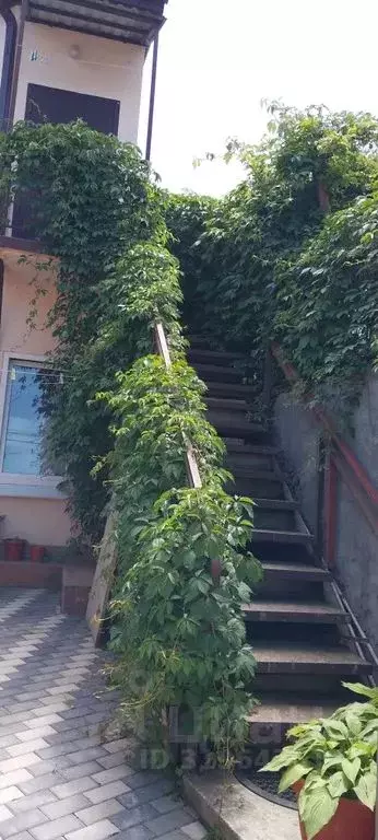 1-к кв. Ставропольский край, Кисловодск ул. Ермолова, 7 (27.0 м) - Фото 1