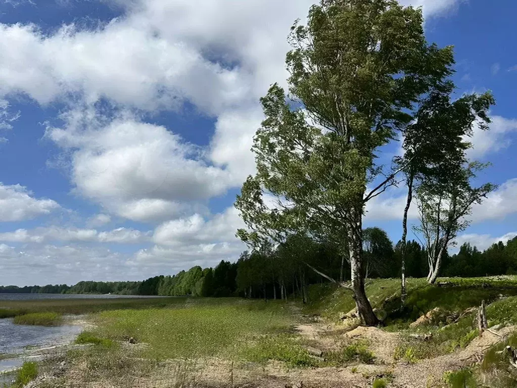 Участок в Ленинградская область, Выборгский район, Полянское с/пос, ... - Фото 2