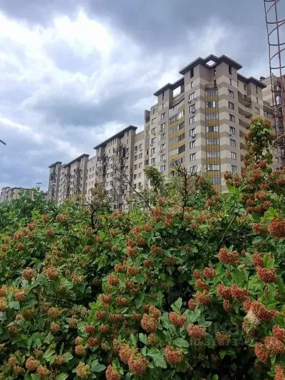 1-к кв. Московская область, Одинцово ул. Триумфальная, 2 (42.2 м) - Фото 0