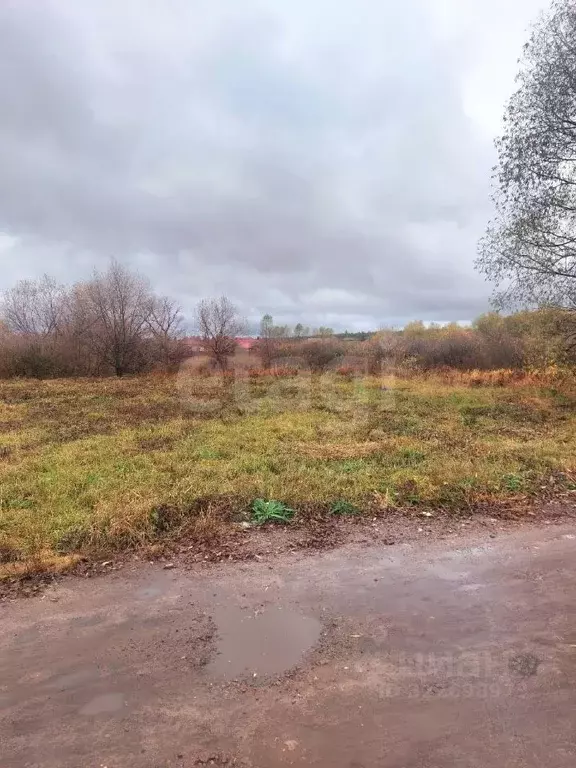 Участок в Воронежская область, с. Новая Усмань ул. Октябрьская, 1 (6.0 ... - Фото 1