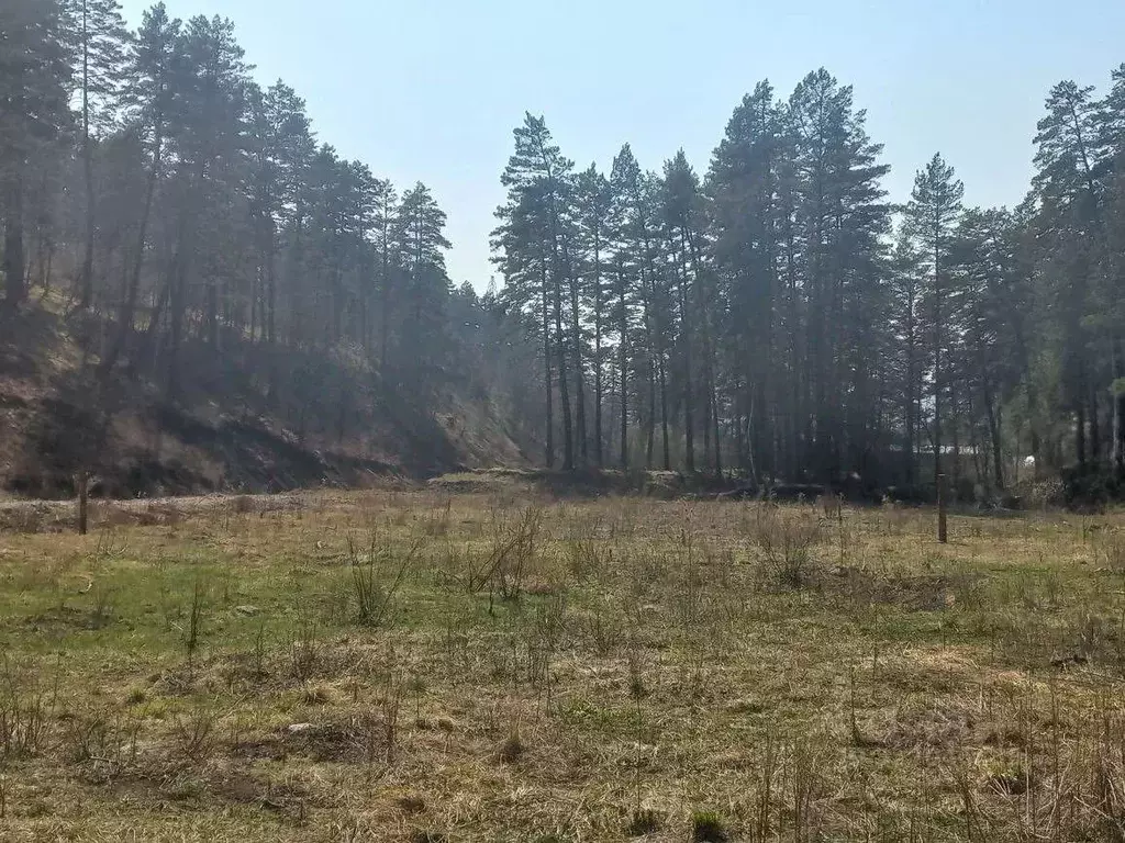 Участок в Алтай, Майминский район, с. Манжерок Ленинская ул. (10.0 ... - Фото 2