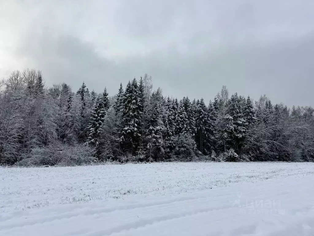 Участок в Московская область, Пушкинский городской округ, д. Алешино, ... - Фото 1