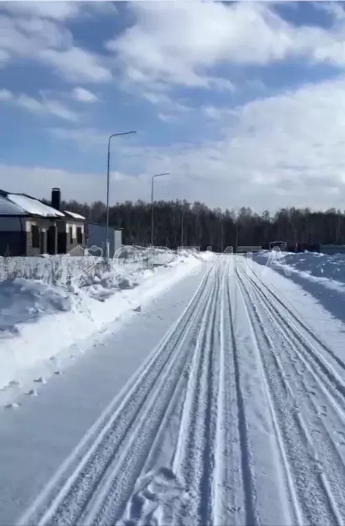 Участок в Тюменская область, Тюменский район, Онегин кп  (8.0 сот.) - Фото 1